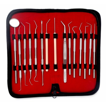 A2Z SCILAB 15 Pcs Professional Dental Cleaning Stainless Steel Tools in a Case A2Z-ZR-MPS15